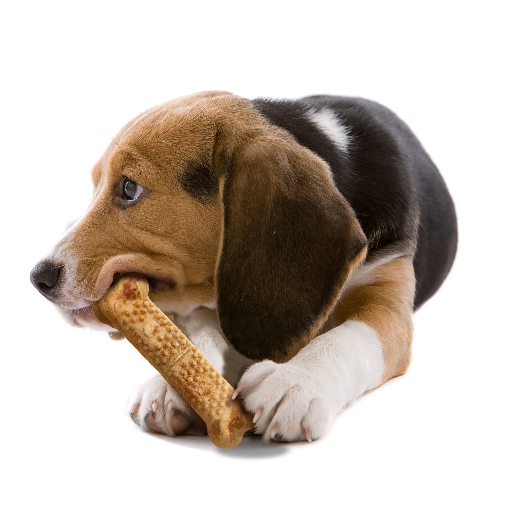Large Edible Dog Chew Treat, Chicken Flavor, 2.2 Lbs. (18 Count) F40186