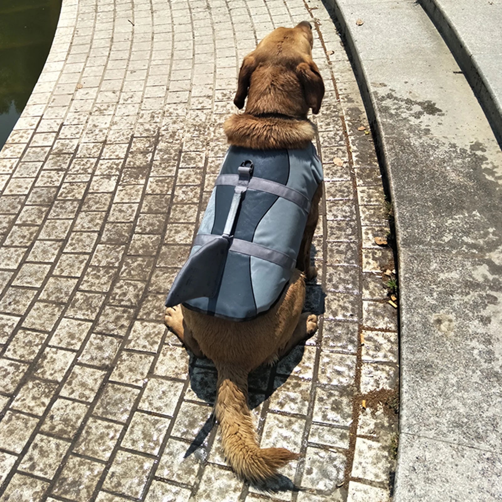 Dog Shark Swimsuit Vest Pet Safety Wear P46703