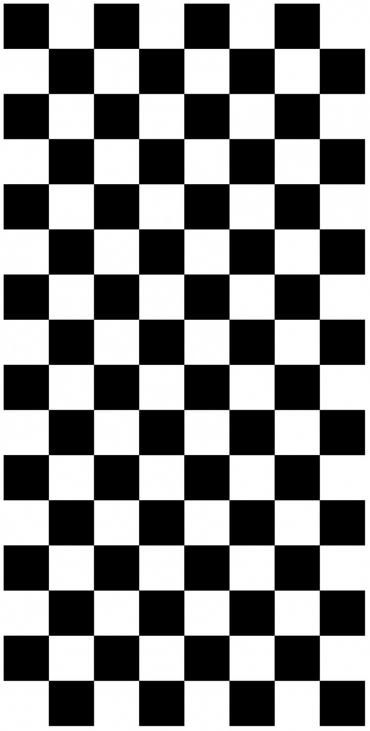 Checkered Flag Replacement Fabric E58624