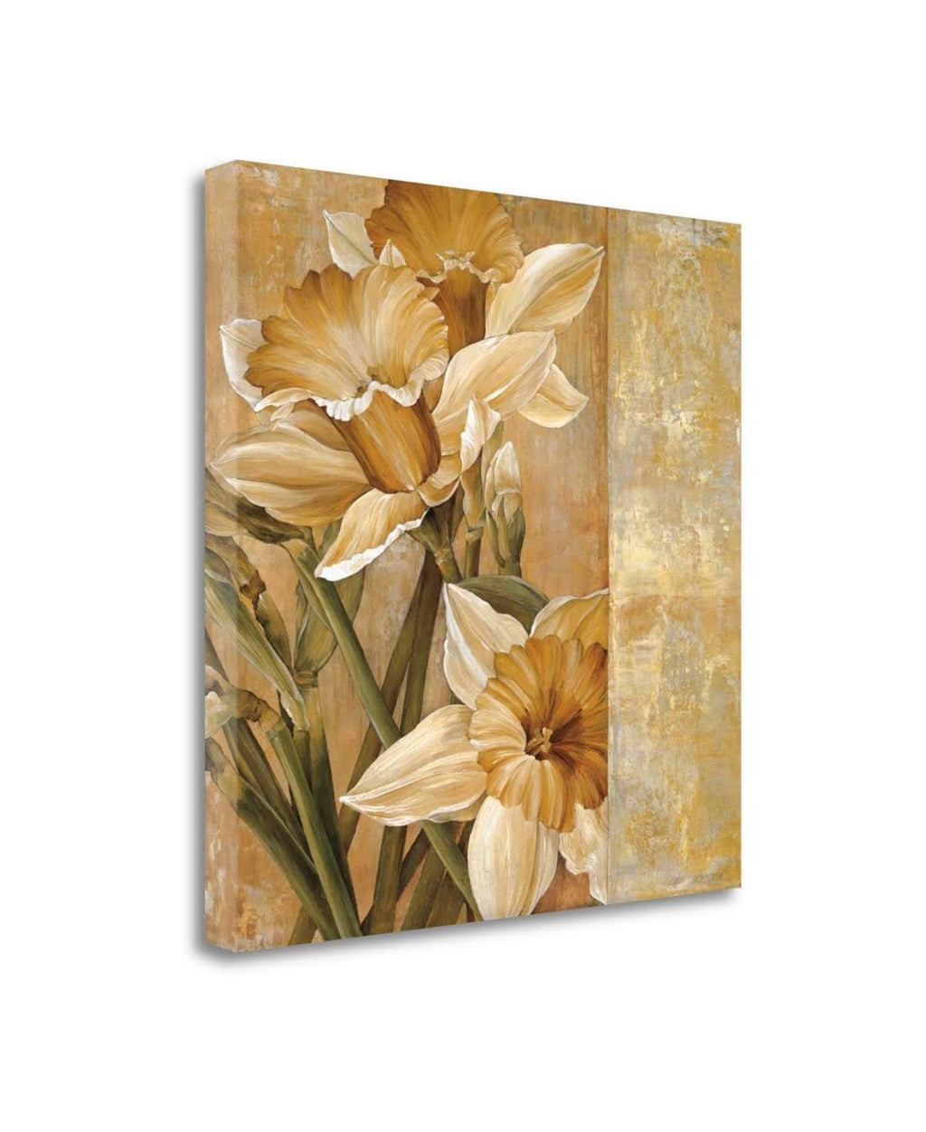 Champagne Daffodils Giclee Print on Gallery Wrap Canvas Q823644