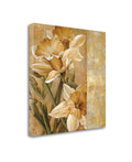 Champagne Daffodils Giclee Print on Gallery Wrap Canvas Q823644