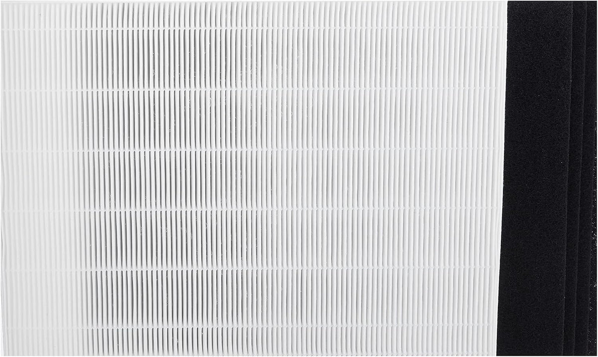 Replacement Filter Pack of 2 Y87597