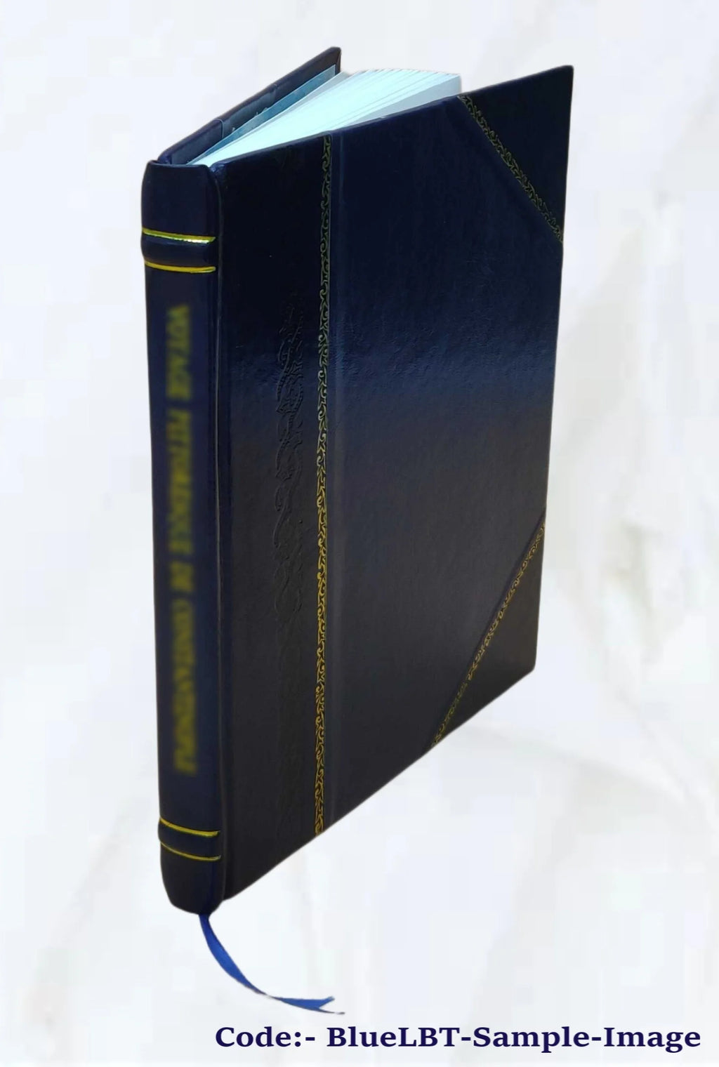 Leather Bound Book Q619813