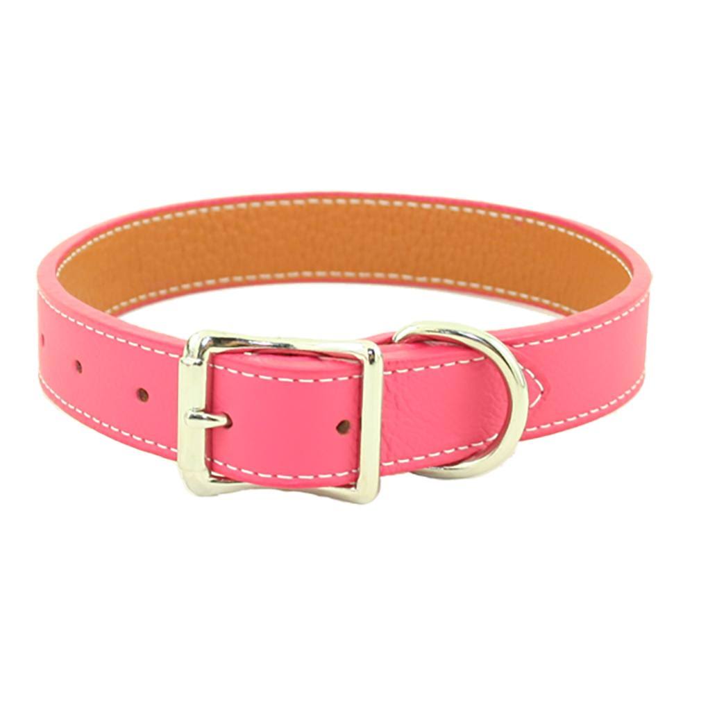 Black Leather Dog Collar Q219880