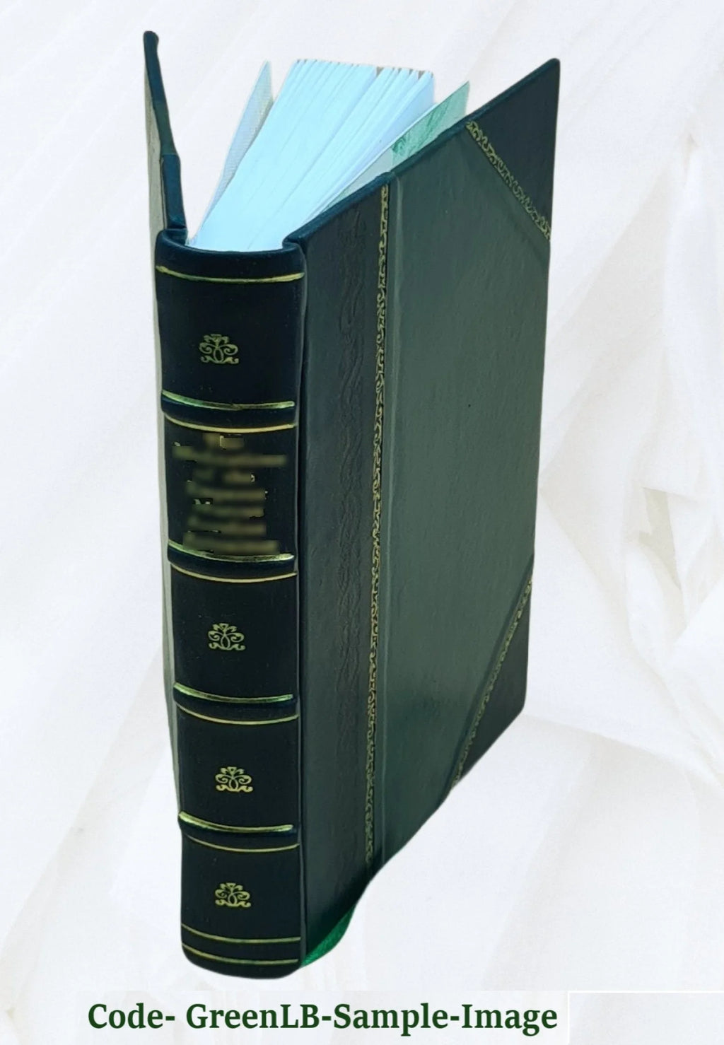 Leather Bound Book K39818