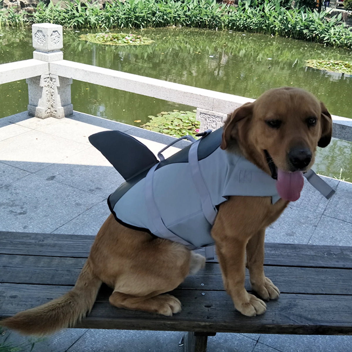 Dog Shark Swimsuit Vest Pet Safety Wear P46703