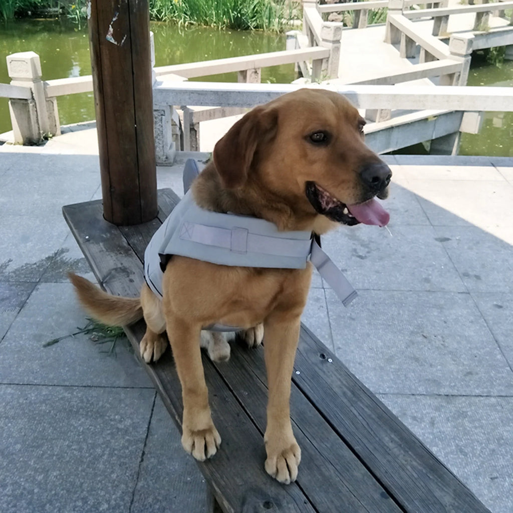 Dog Shark Swimsuit Vest Pet Safety Wear P46703