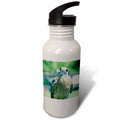 21 oz Sports Water Bottle X880