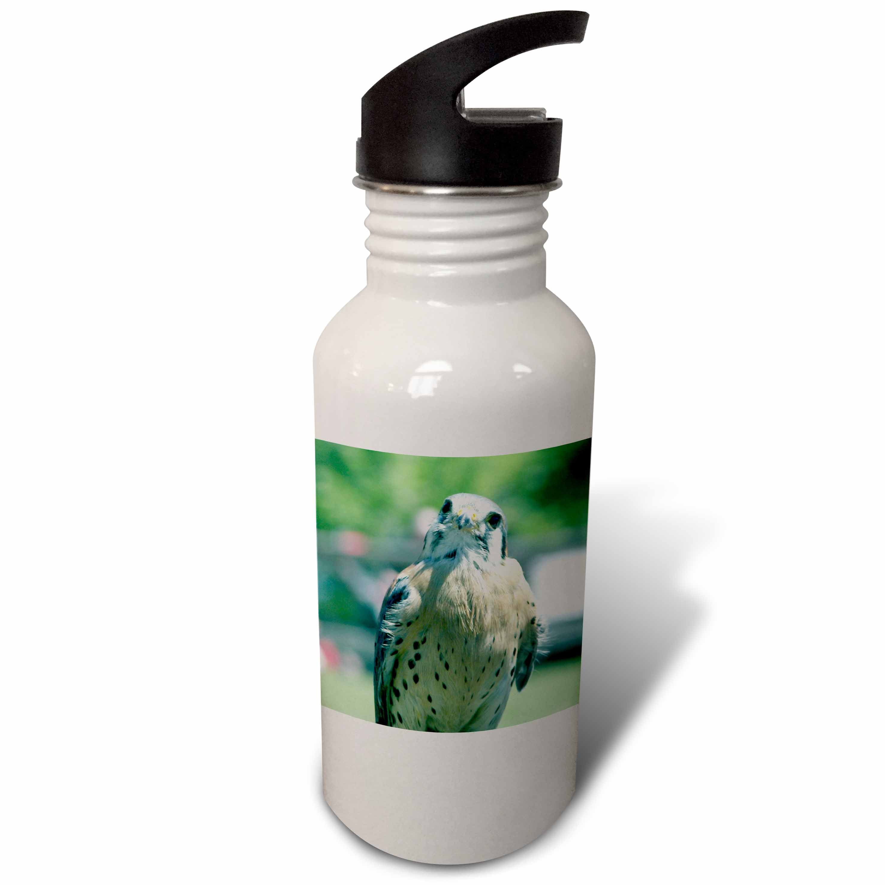 21 oz Sports Water Bottle X880