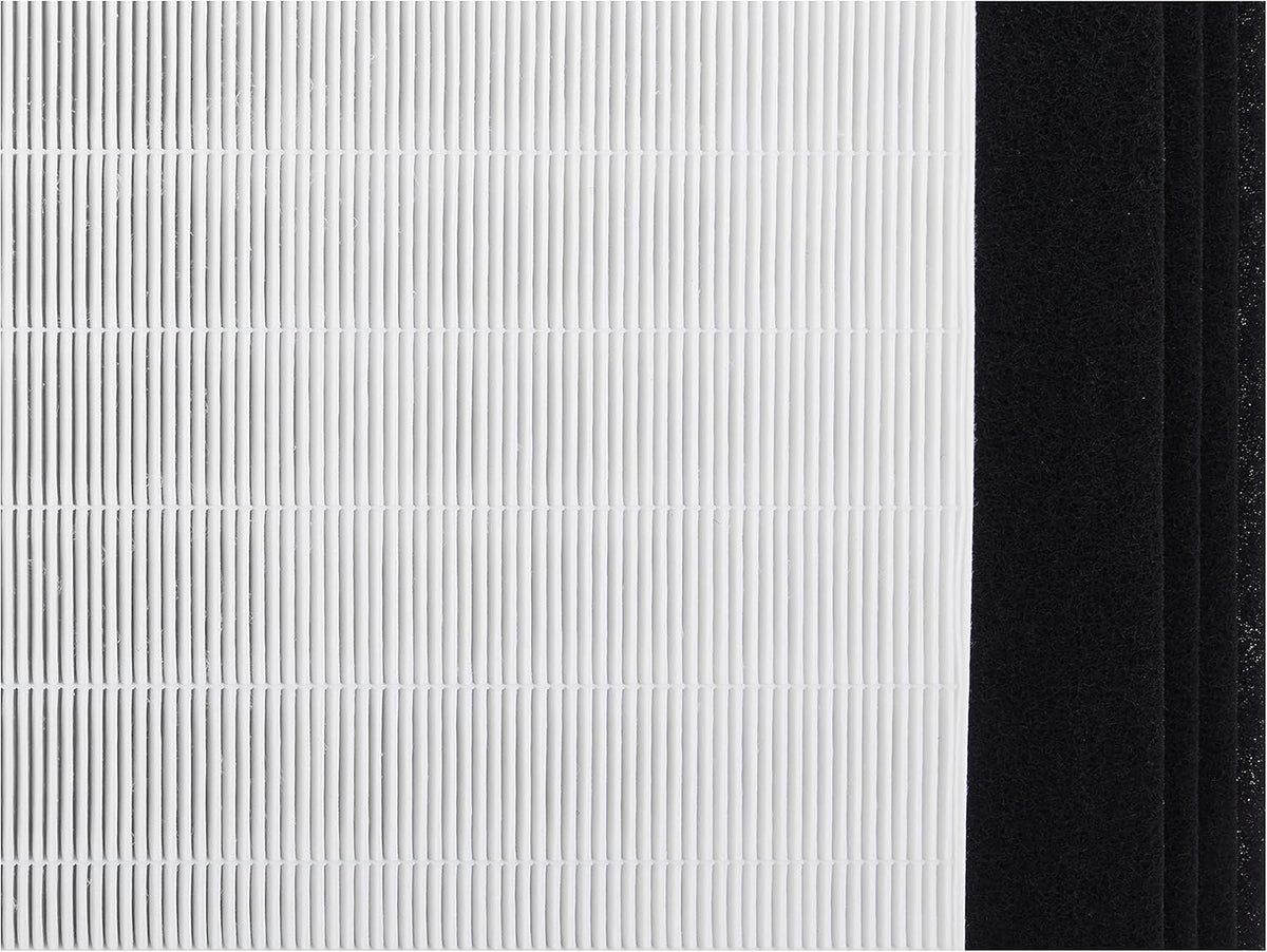 Replacement Filter Pack of 2 Y87597