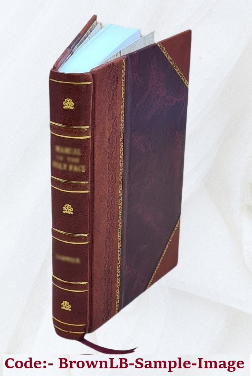 Leather Bound Book K39818