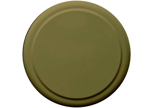Tire Cover and Ring L345