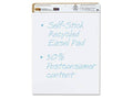 Self-Stick Easel Pads, 25 x 30, White, 30 Sheets, 2/Carton L6055