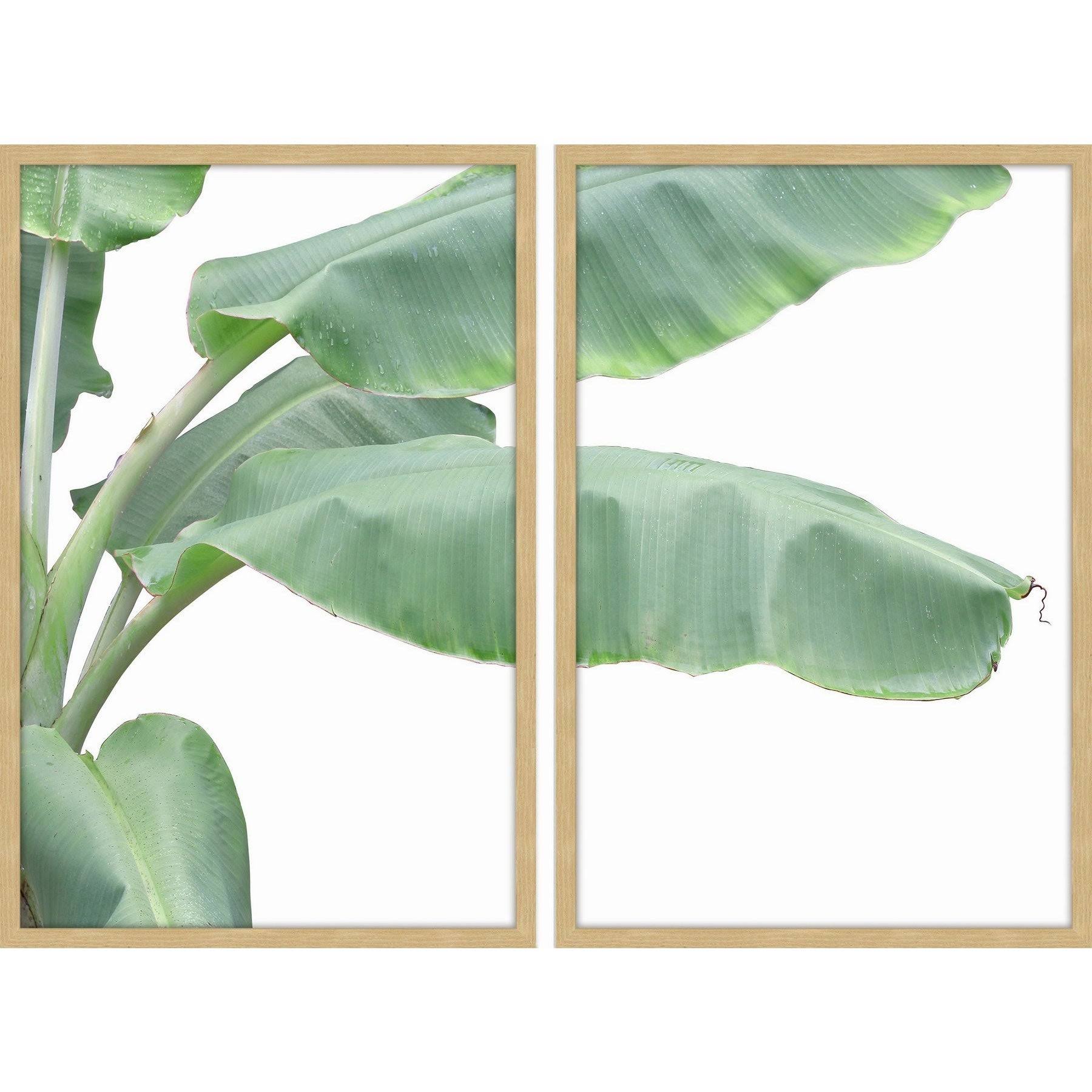 36 inch x 48 inch Diptych A25495
