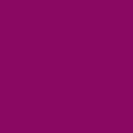 Skelton Exotic Sangria Filter U4979