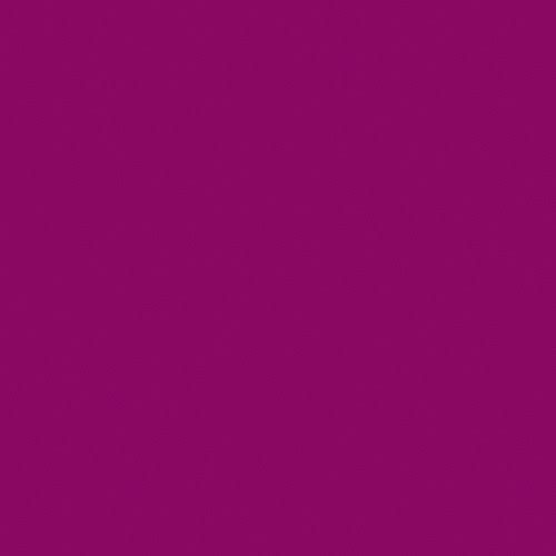 Skelton Exotic Sangria Filter U4979