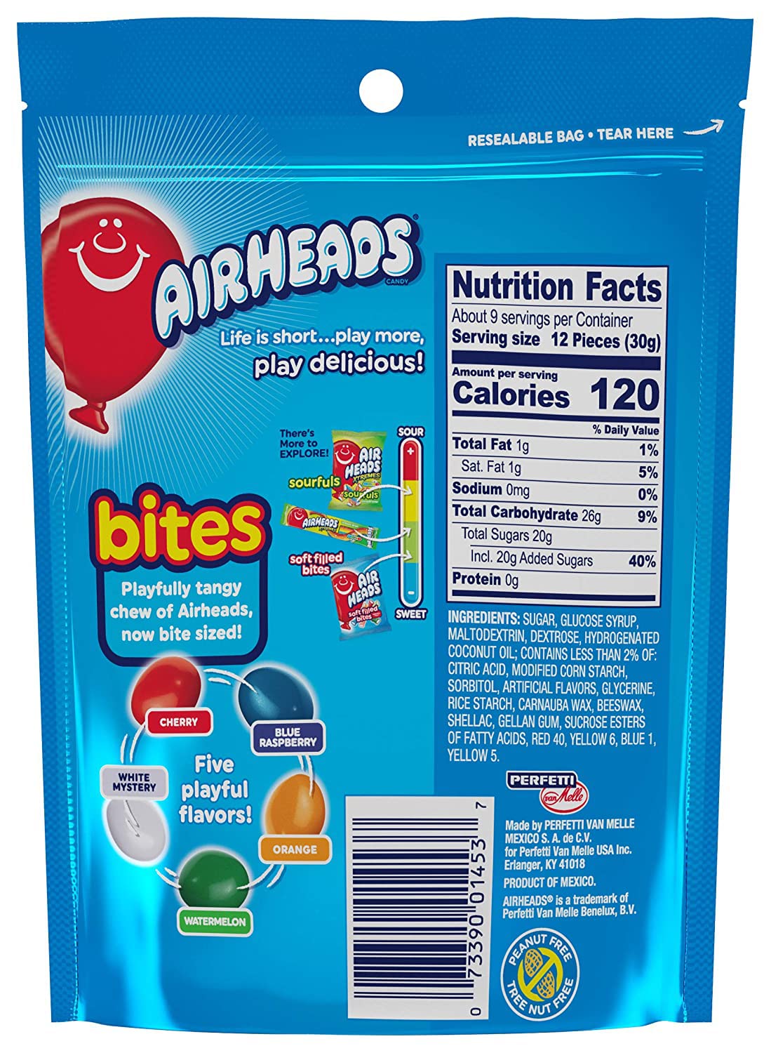 Chewy Bites Fruit Bites 9oz Resealable Bag E49262