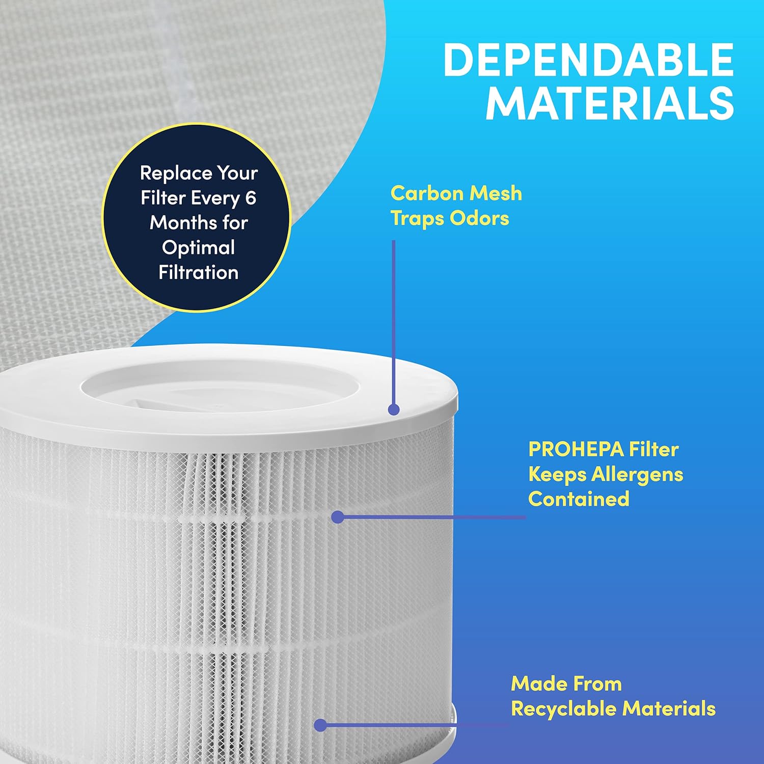 2 Pack H13 True HEPA Replacement Filters G87982