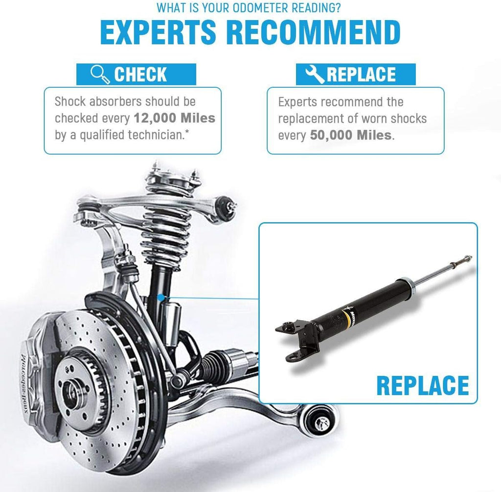 Rear Shocks Absorber Kit Pack of 2 M5887