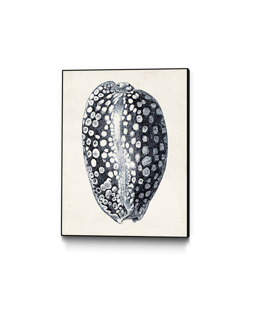Blue Framed Canvas Art Block W783808