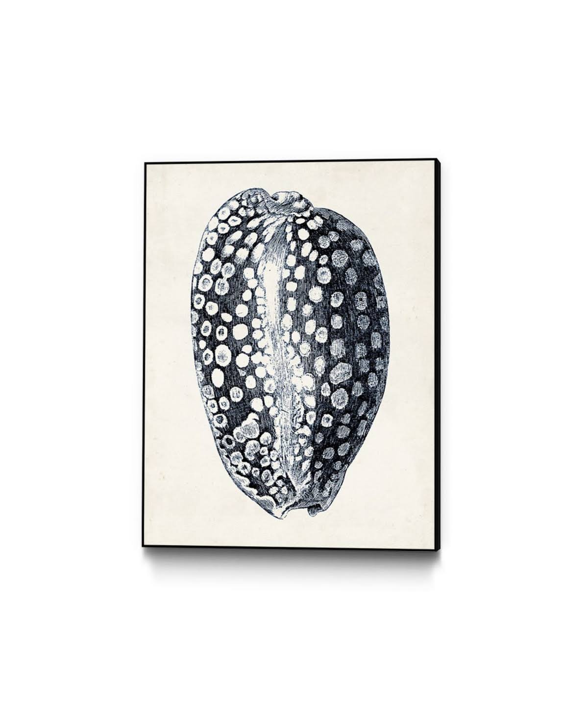 Blue Framed Canvas Art Block W783808