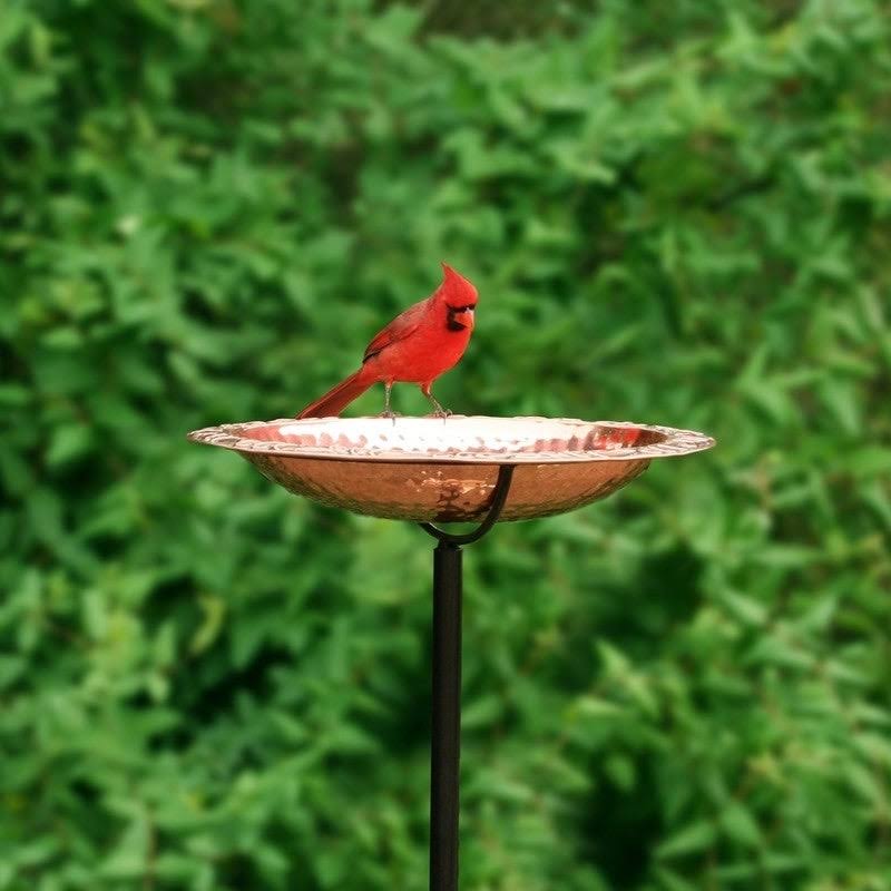 Copper Bird Bath on Garden Pole W473