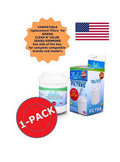 Water and Ice Filter R6056