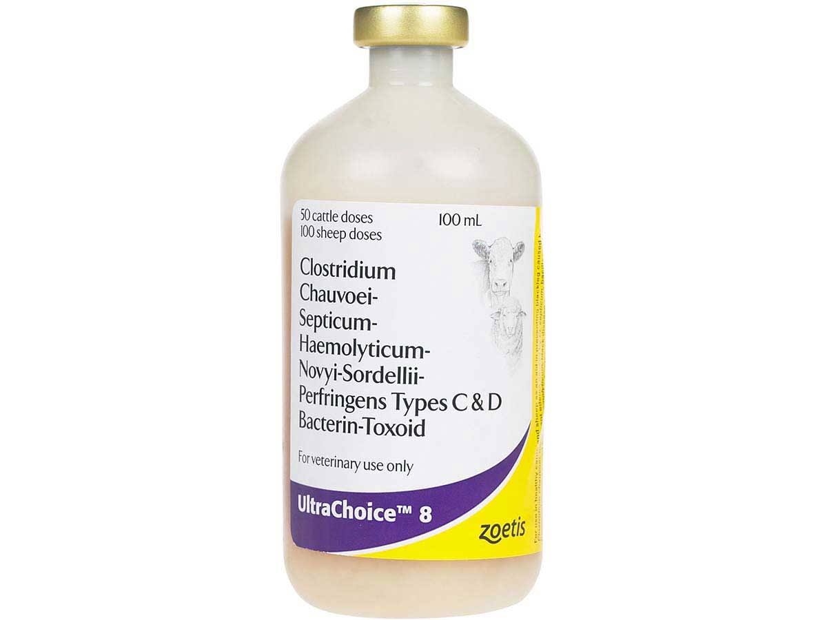 8 Cattle Sheep Vaccine 50 DS R817916