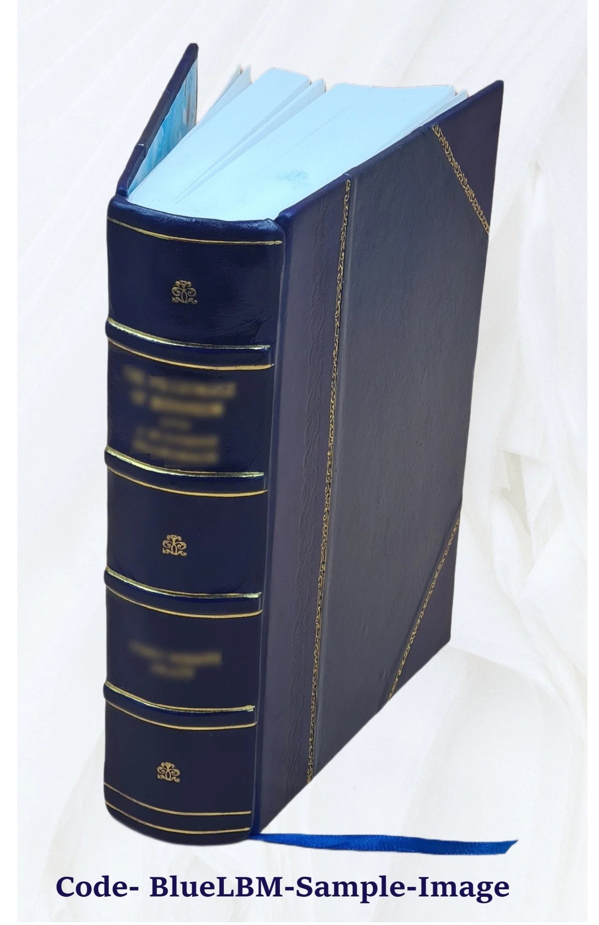Leather Bound Book F970