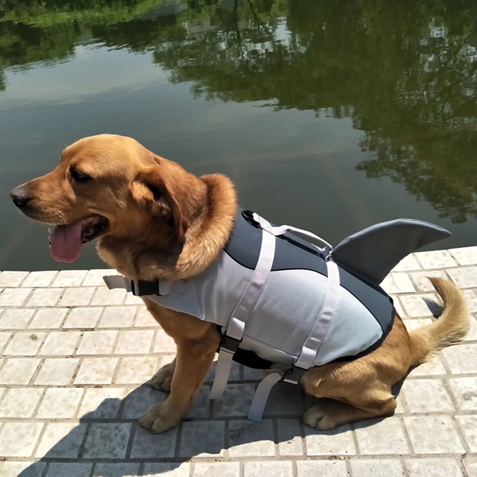 Dog Shark Swimsuit Vest Pet Safety Wear P46703