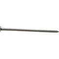 Galvanized Common Nail, 50 lbs O967