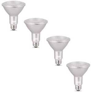 75-Watt Equivalent PAR30 Dimmable LED Flood Light Bulb Daylight Q223275