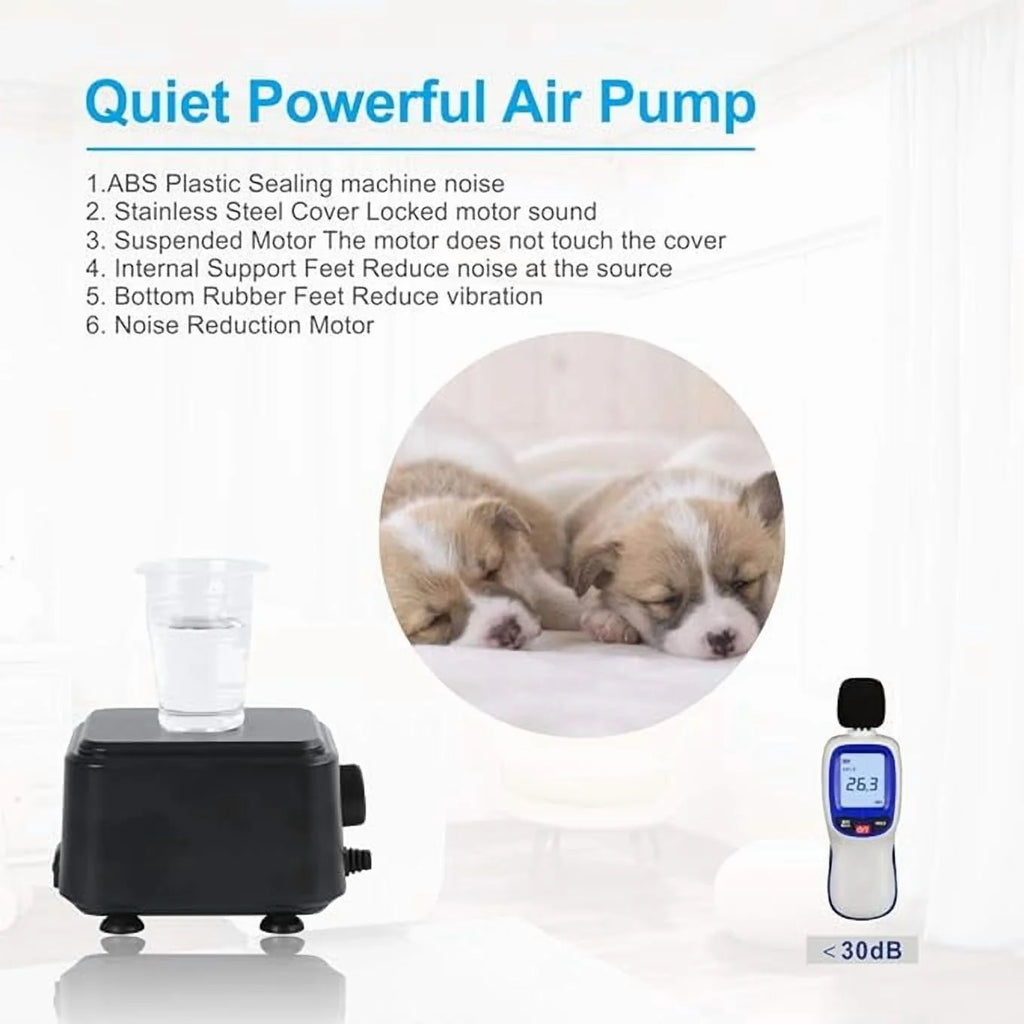 Adjustable Air Pump R726
