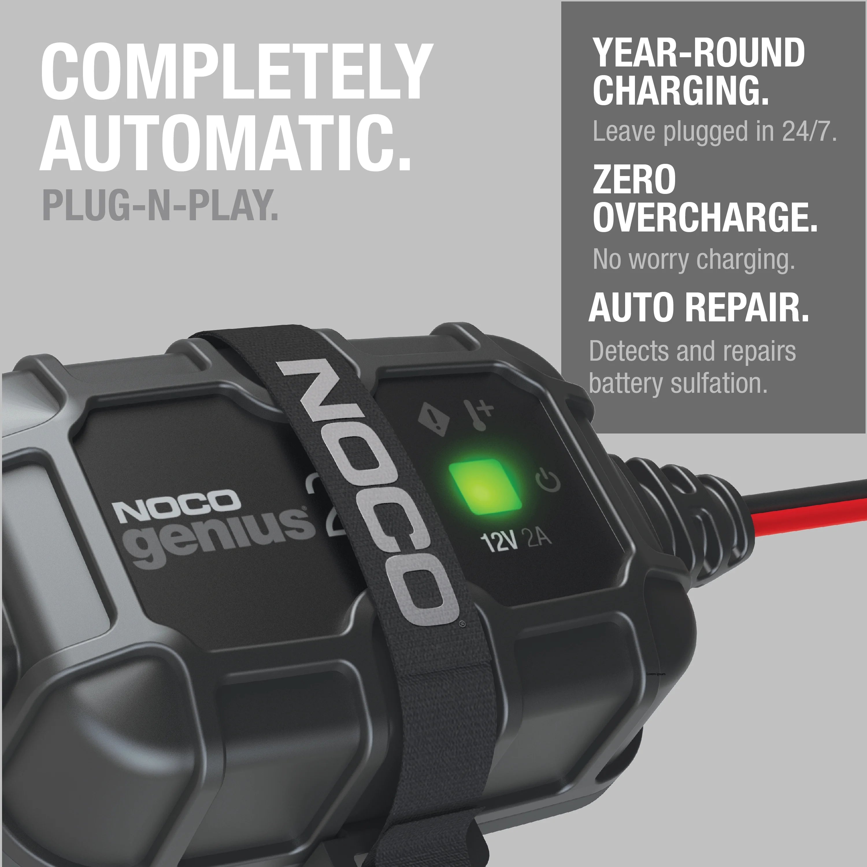 2A Onboard Battery Charger and Maintainer P29904