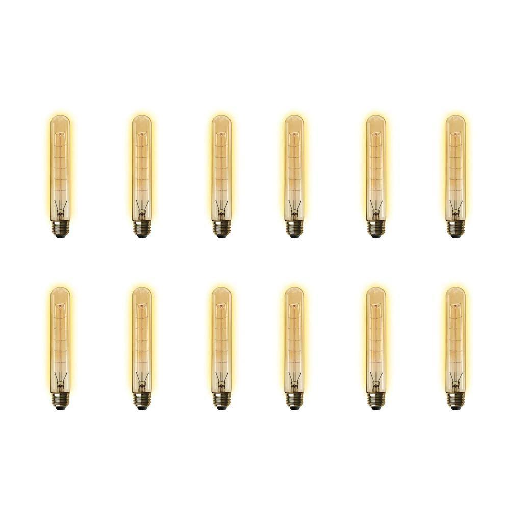 60W Equivalent T10 Dimmable Incandescent Amber Glass Light Bulb (12-Pack) C60426
