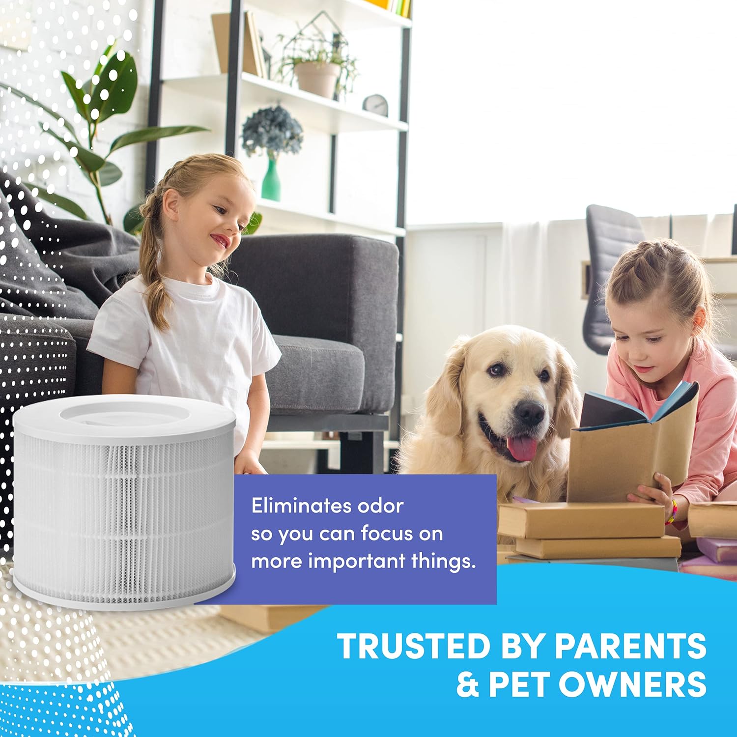 2 Pack H13 True HEPA Replacement Filters G87982