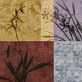 Floral Refrain I Canvas G490