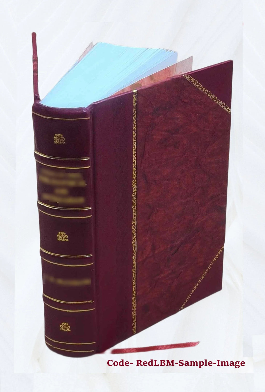Leather Bound Book F970