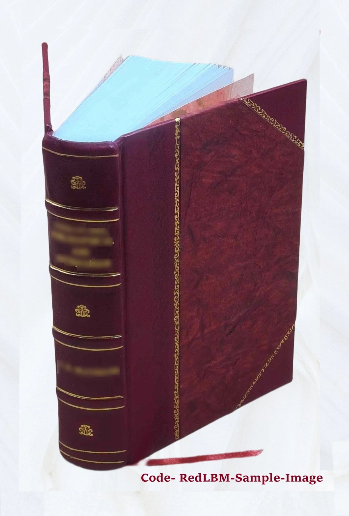 Leather Bound Book F970