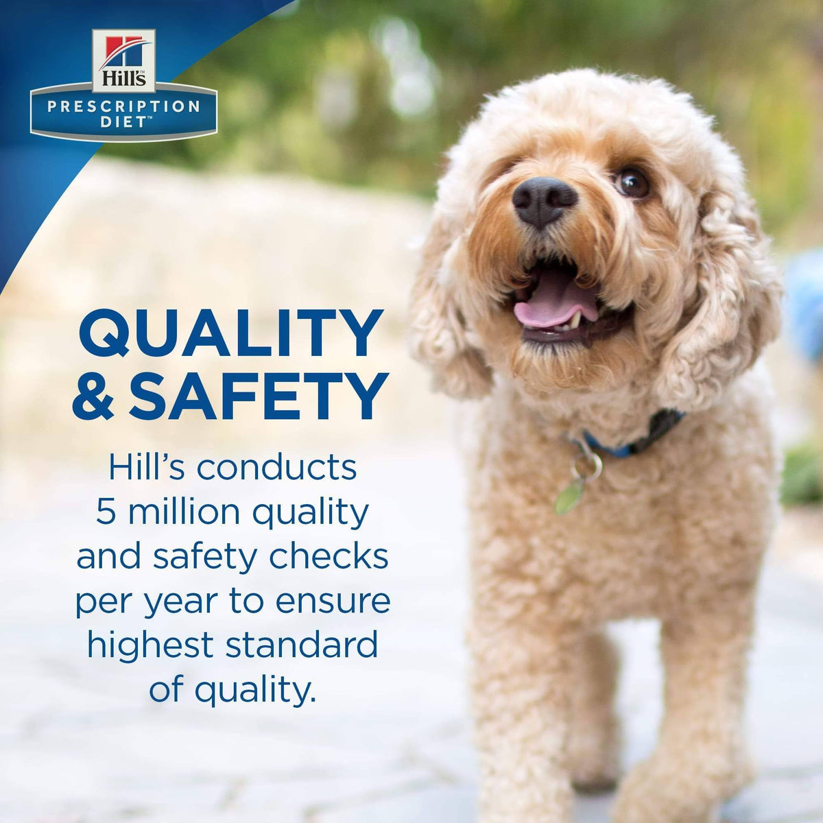 Therapeutic Digestive Care Dog Food, Chicken Flavor - 14.33 lb Q580