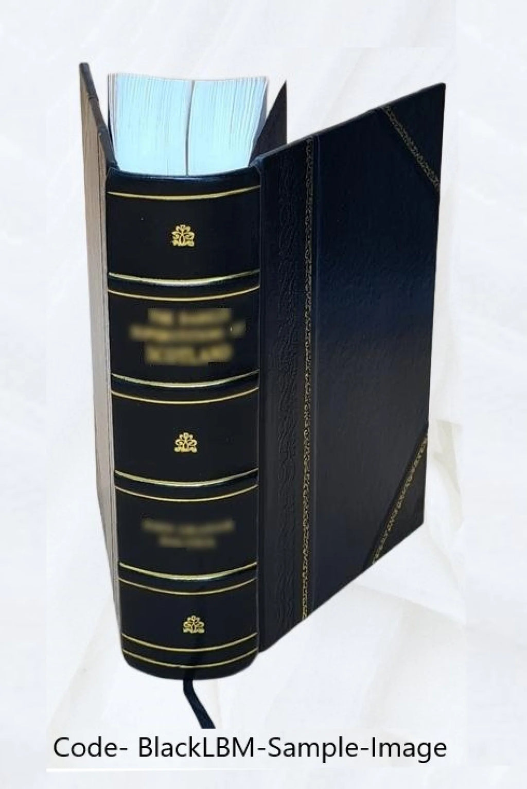 Leather Bound Book F970