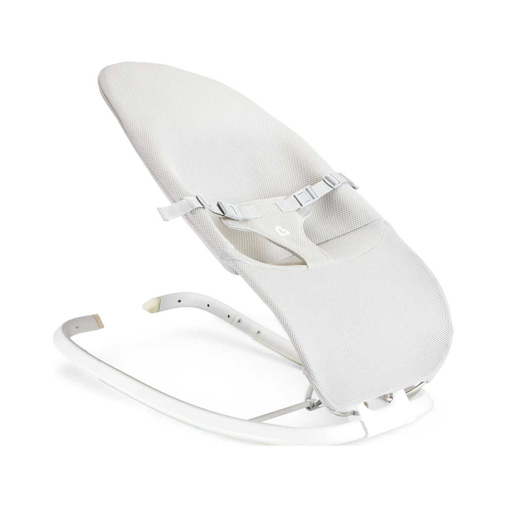 2-in-1 Baby Bouncer & Rocker, Lightweight & Compact W9759