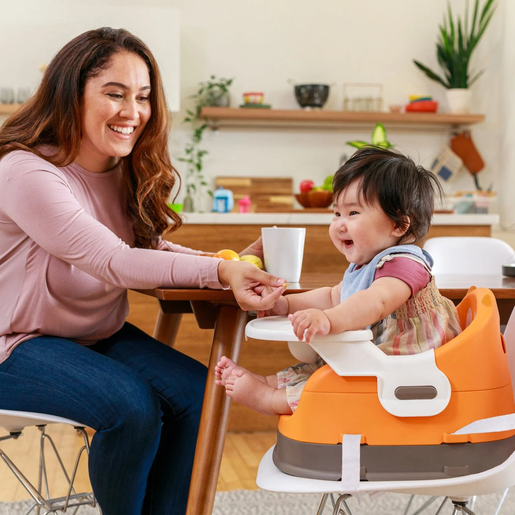 Orange Fox 4-in-1 Baby to Toddler High Chair Booster Seat O684