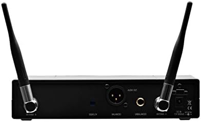 Wireless Microphone System L2558