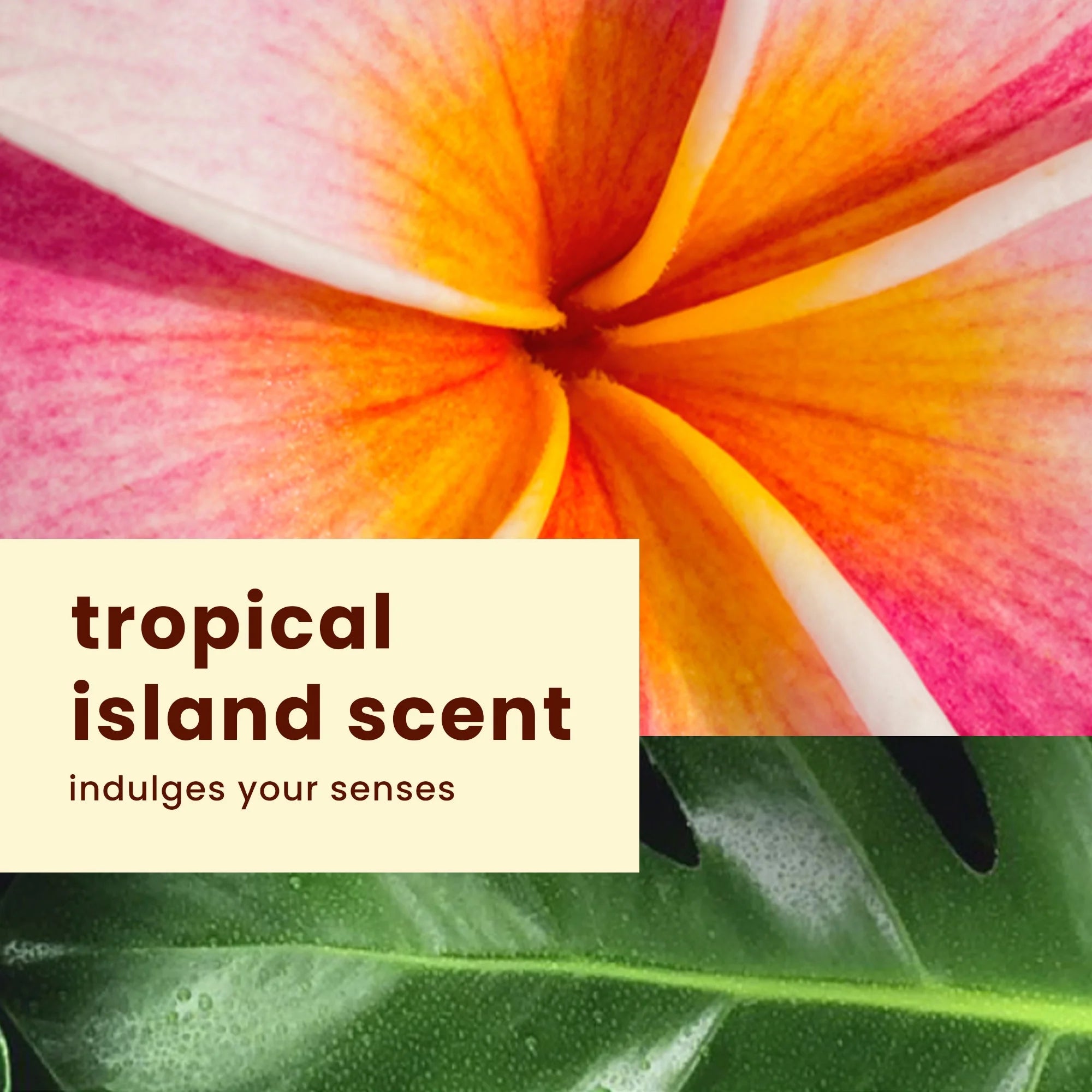 70 SPF Sunscreen Lotion T948