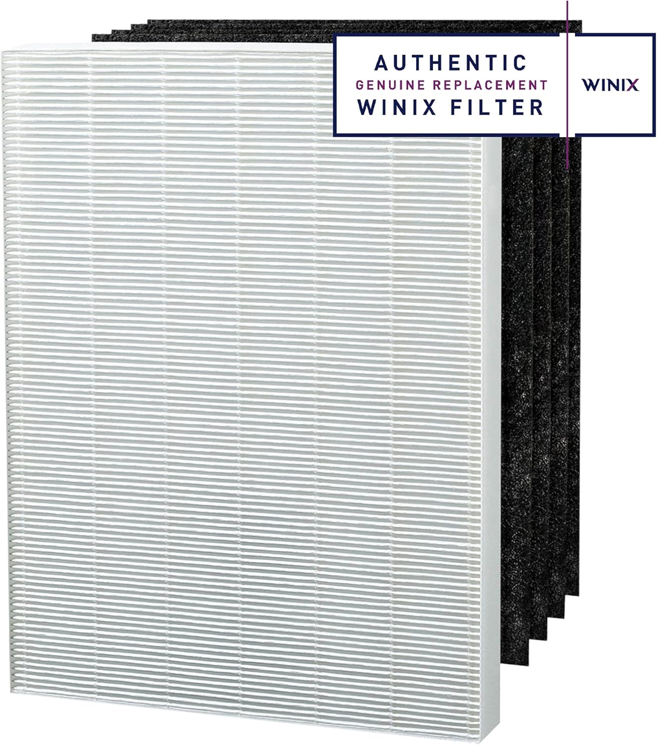 Replacement Filter Pack of 2 Y87597