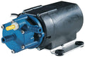 Carpet Cleaner Pump, 115 Volts T42133