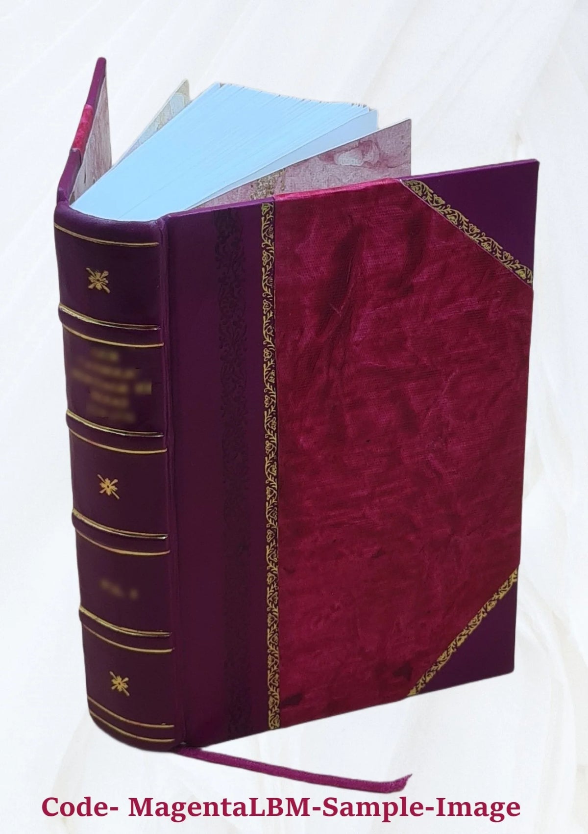 Leather Bound Book F970