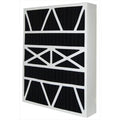 Carbon Odor Filter (Pack of 2) Q3059
