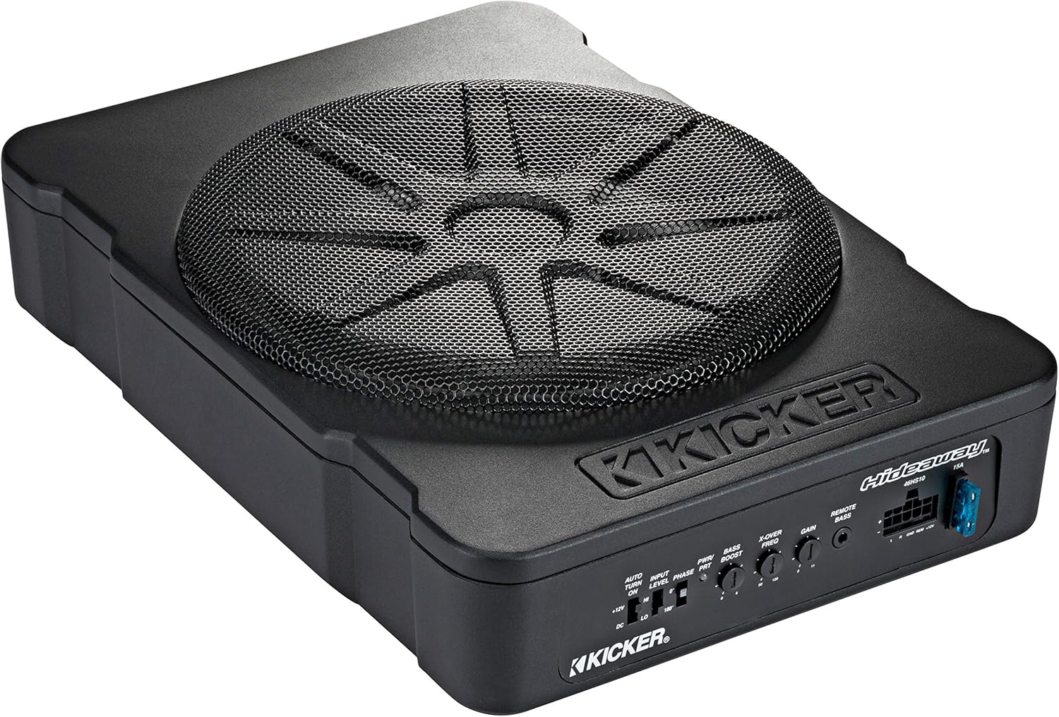 Compact Powered 10-inch Subwoofer R229